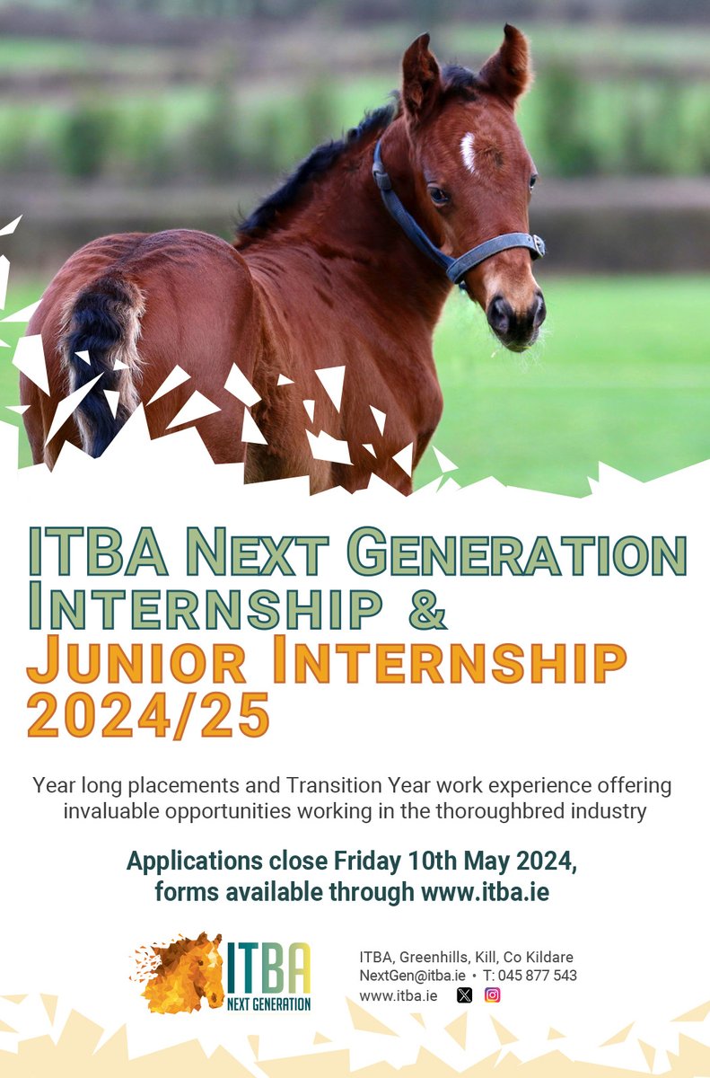 Are you interested in working in the thoroughbred industry❓❓ 💎 The @ITBAnextgen Internship & Junior Internship 2024/25 offer year long placements and transition year work experience 🗓️ Applications close Friday 10th May 👉 Forms available at itba.info/page/ITBA-Next…