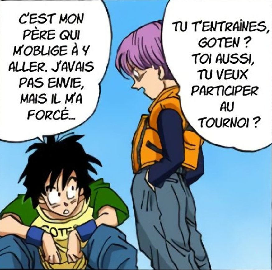 Les dégâts du métissage Saiyan-Terrien...