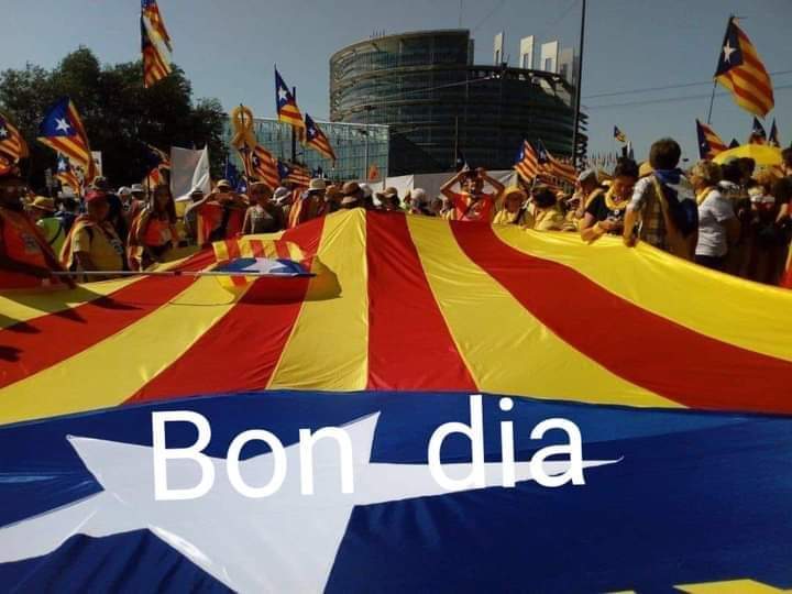 Bon dia companys i companyes de la lluita!
Bon dia segadors i segadores que defenseu la vostra terra.
Visca Catalunya lliure i sobirana i sempre més Puta Espanya. #Dui #lliridemerda #nioblitniperdó #putaEspanya #1Oct #republicacatalana #niunpasenrera