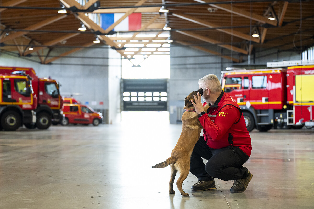 Interieur_Gouv's tweet image. 🧑‍🚒 En cette journée internationale des #pompiers, on vous présente Utah qui est venue renforcer les effectifs du @Sdis_74 cette année ! 


🐶 Dans quelques mois, elle rejoindra officiellement l’équipe cynotechnique et son binôme David.