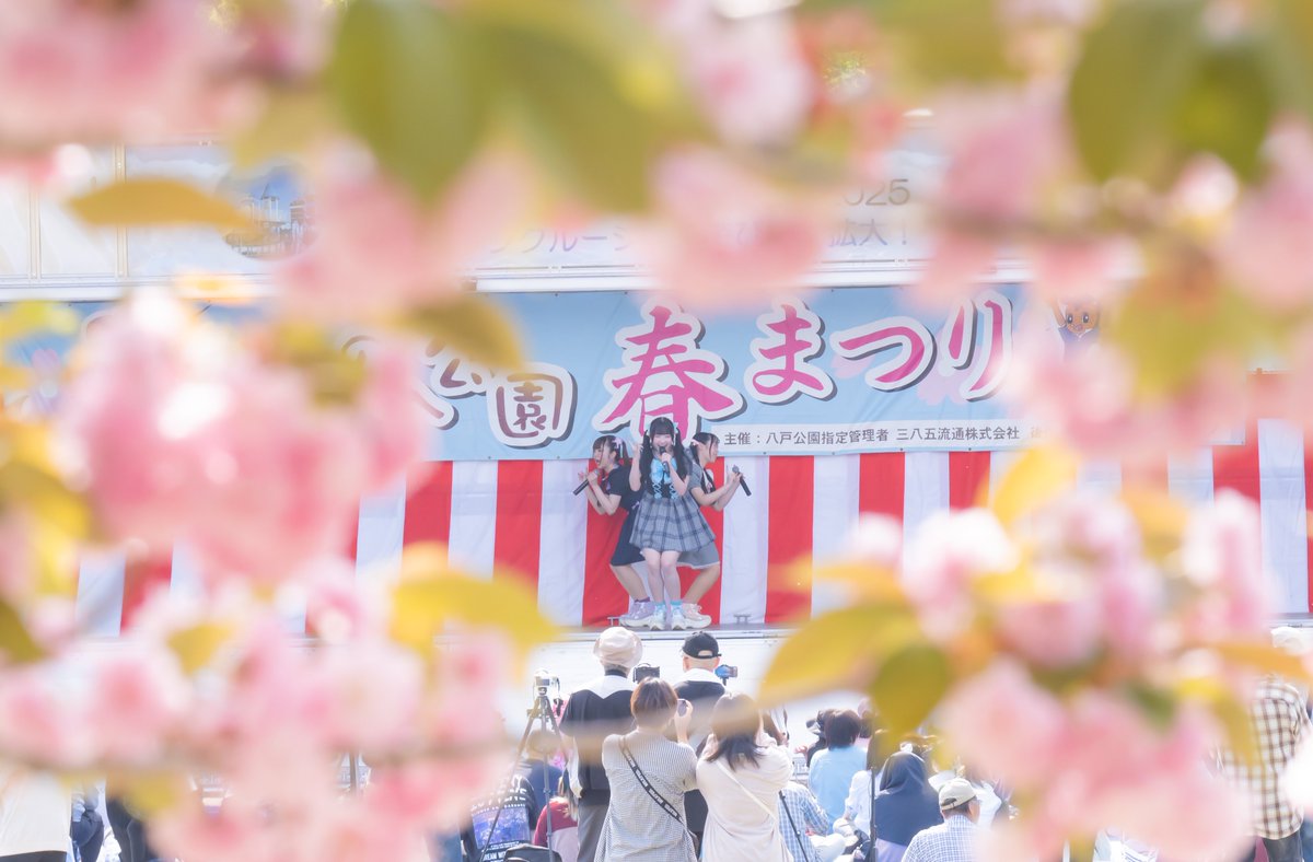 2024.5.4
はちのへ公園春まつり
#日本一朝早く会えるアイドル
#pacchi