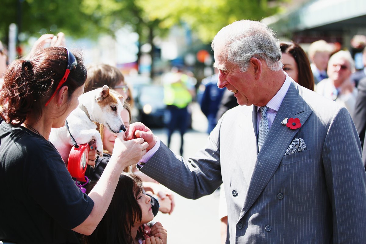 We are delighted to welcome His Majesty The King as our new Patron. His support will help us to continue the work we do to help dogs and the people who love them both here in the UK and across the world 👑💛🐶. ➡️ bit.ly/4b2qg51