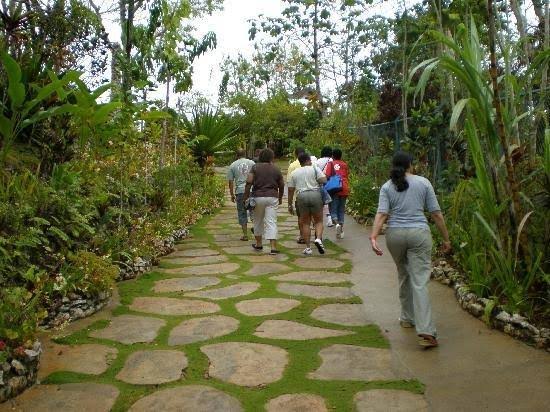 This is Abeokuta Village in Jamaica. It was named after Abeokuta in Yorubaland. The connection with Abeokuta began over 100 years age when the first African slaves were bought to Westmoreland they worked on the plantation where Abeokuta now stands.