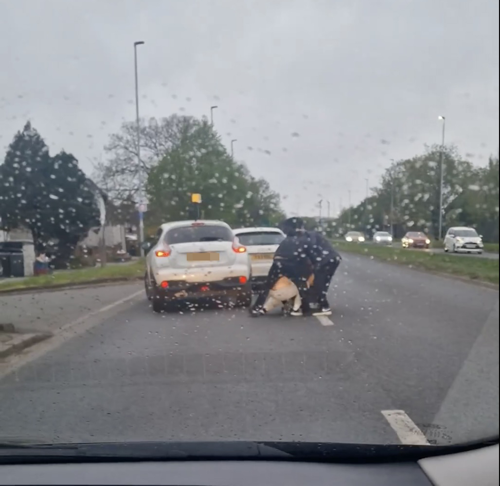 Road rage 'madness' as three men fight on busy road as shocked drivers watch on mirror.co.uk/news/uk-news/r…