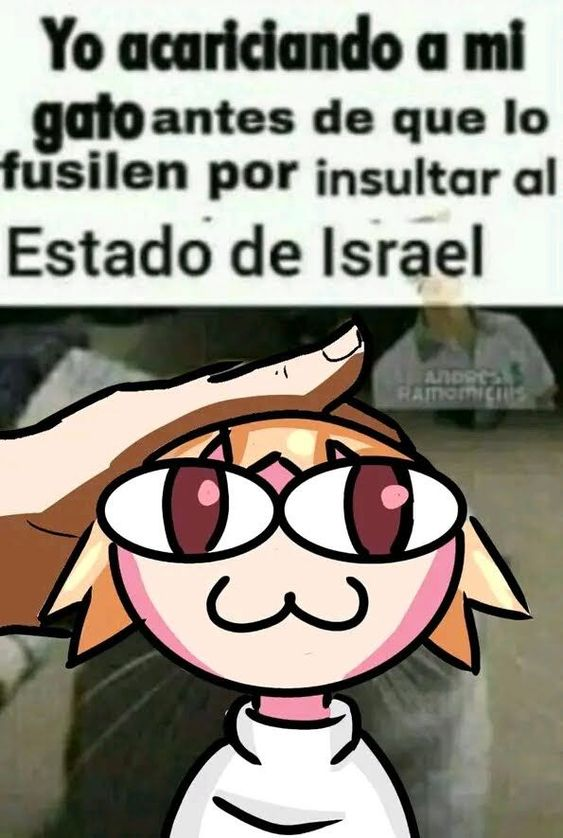 sergioooo tweet media