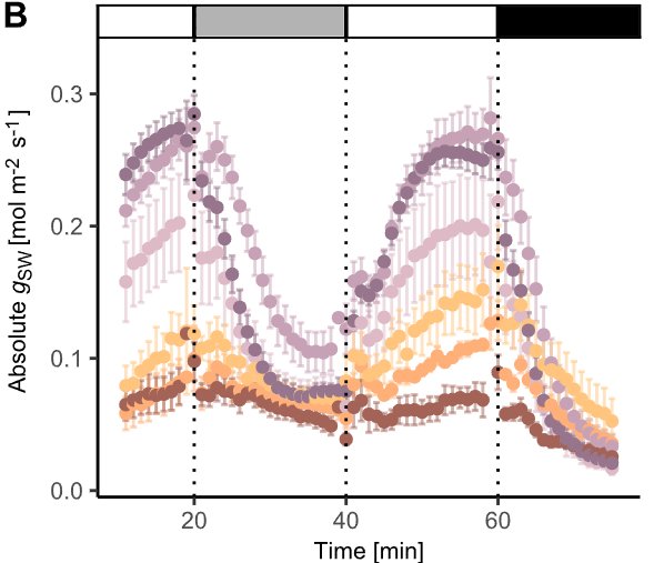 Roxane Spiegelhalder @roxyspi.bsky.social tweet media