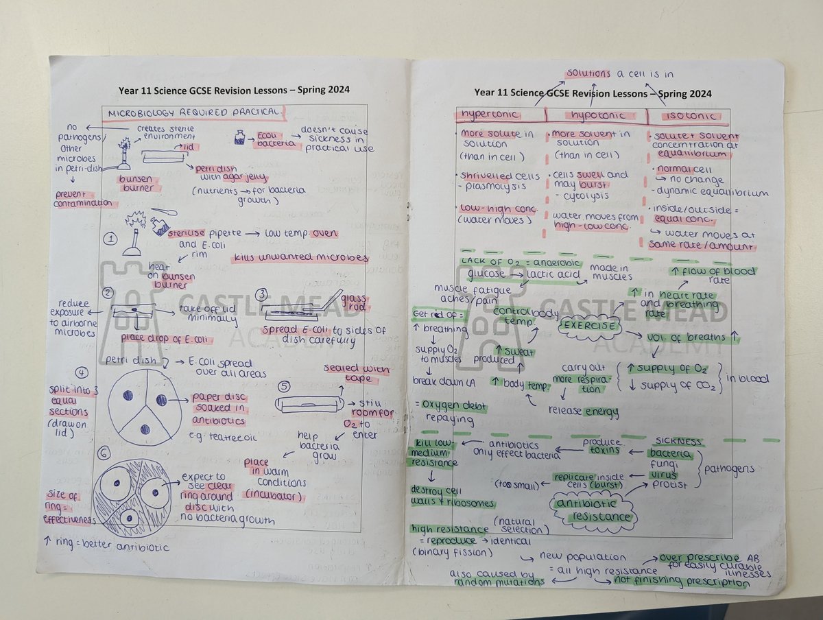 David_gilbert88's tweet photo. Year 11 absolutely smashing their revision lessons in the final run in! πͺπ»ππ»ππ» #CMAScience https://t.co/PGs7rDU7Lu