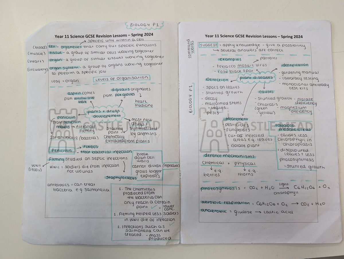 David_gilbert88's tweet photo. Year 11 absolutely smashing their revision lessons in the final run in! πͺπ»ππ»ππ» #CMAScience https://t.co/PGs7rDU7Lu