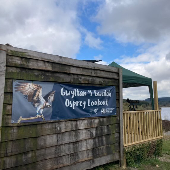 The Môn Gwyrdd Youth Forum had an incredible day visiting the ospreys at Llyn Brenig. From learning about the history of ospreys in the UK, to seeing the pair incubate their eggs on the Livecam, it was an unforgettable experience! 💚 @BrenigOspreyProject #StandForNatureWales