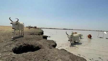 Le Soudan du Sud obtient un financement de 33 millions $ du GEF pour un projet de résilience climatique agenceecofin.com/breves-gestion…