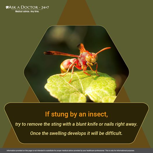 Insect bites can be serious, do this…
Talk to an Allergist & Immunologist for better guidance.
Click here:
askadoctor24x7.com/.../allergist-…

#hind_steels #facteye #mendica_biotech_private_limited #InsectBiteAwareness #AllergistAdvice #ImmunologyExpert #GetCheckedToday #AllergyGuidance