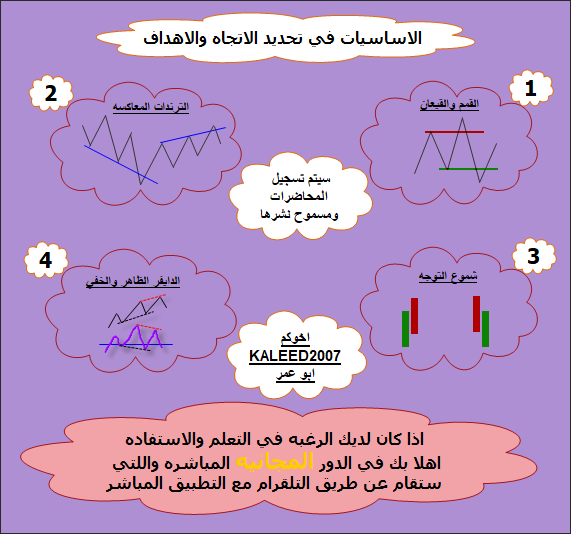 KALEED2007 tweet media
