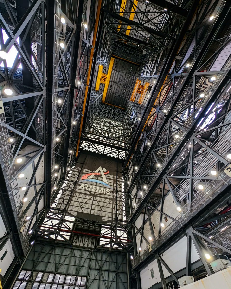 Maria Schwartzman Webb tweet media