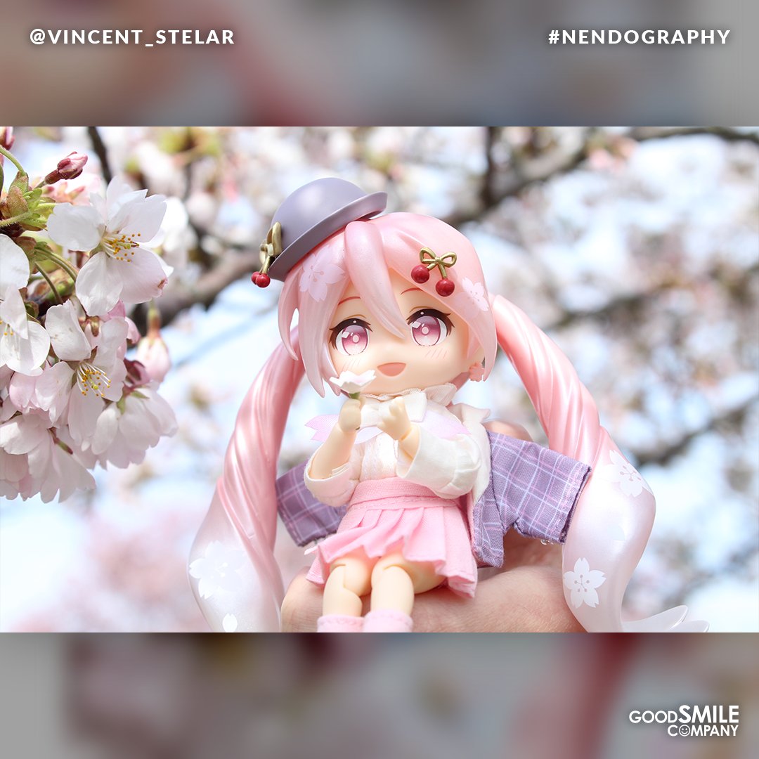 Surrounded by a kaleidoscope of petals, Nendoroid Doll Sakura Miku: Hanami Outfit Ver. captivates with her ethereal charm. Thanks @vstelar_ for this perfect capture. Use hashtag #Nendography for a chance to be featured! #HatsuneMiku #Goodsmile