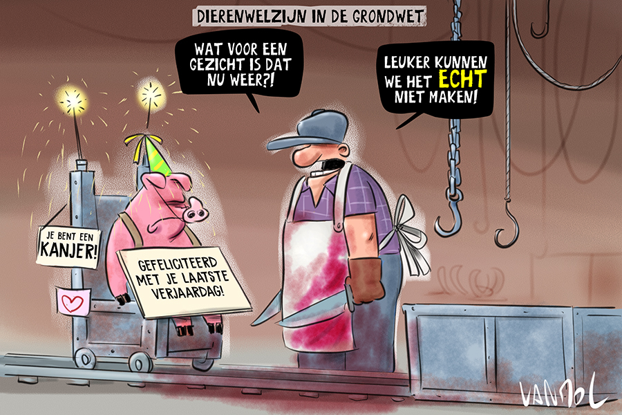#doorbraak #vanmol #vanmoltoons #cartoon #dierenwelzijn #grondwet