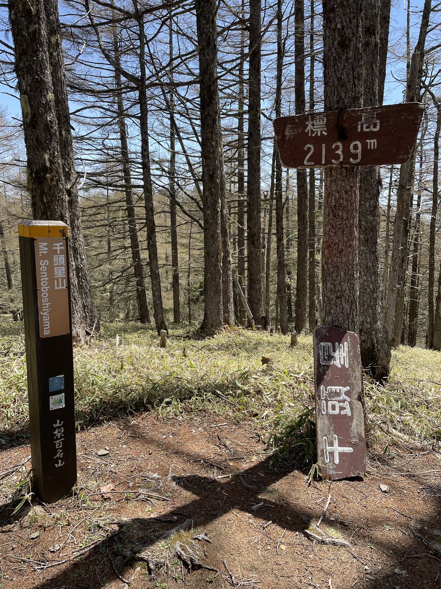 off_lineHAL's tweet image. やま！