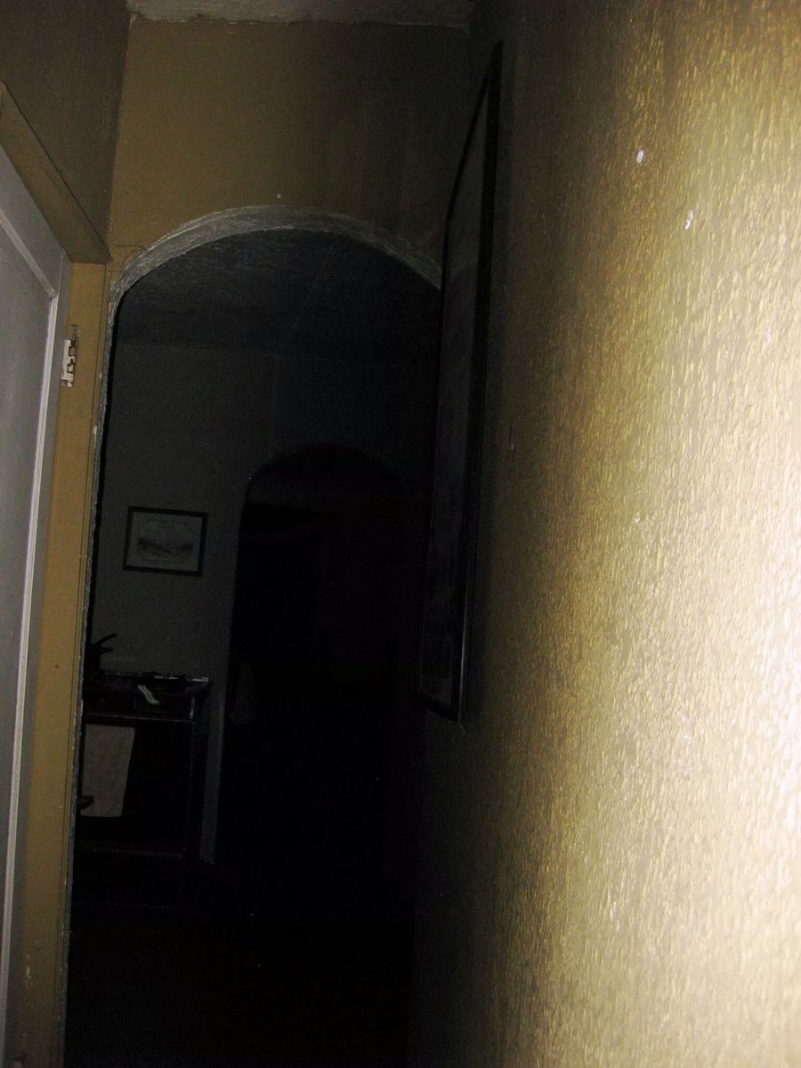 During a #GhostHunt at a notoriously #HauntedHouse in El Paso, Texas, my wife & I heard footsteps in an empty hallway.  Quickly my wife took a picture of the hallway and captured this enormous semi-transparent shadow.  👻

 #NationalParanormalDay