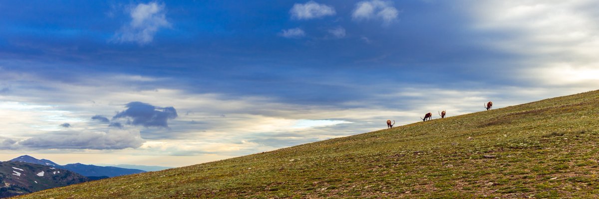 QP some #clouds or #sky

Rocky Mountain National Park, Colorado
#MyPhotoArchive #landscape #colorado #TwitterNaturePhotography #NaturePhotography #Nature #ThePhotoHour #RMNP