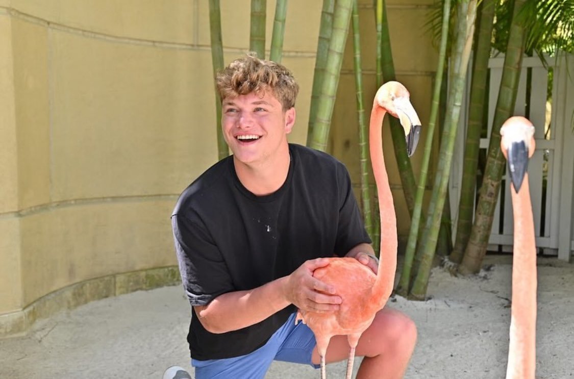 Davis Torgerson tweet media