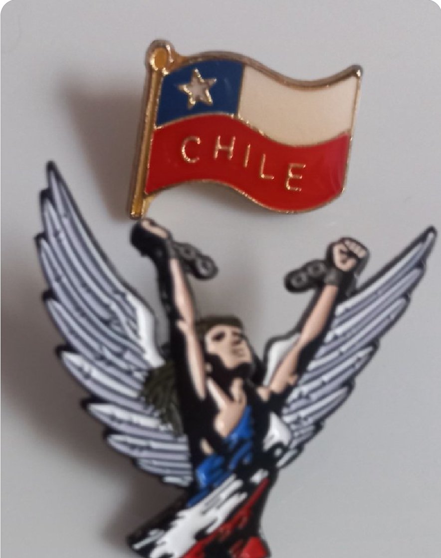 @Equipo_Patriota Por esta hermosa República de Chile hay que doblar nuestras Rodillas ,pedirle al Dios del cielo 🙏 que nos ayude y salir a la calle para manifestar en libertad nuestro descontento y #ChileNoCaerá