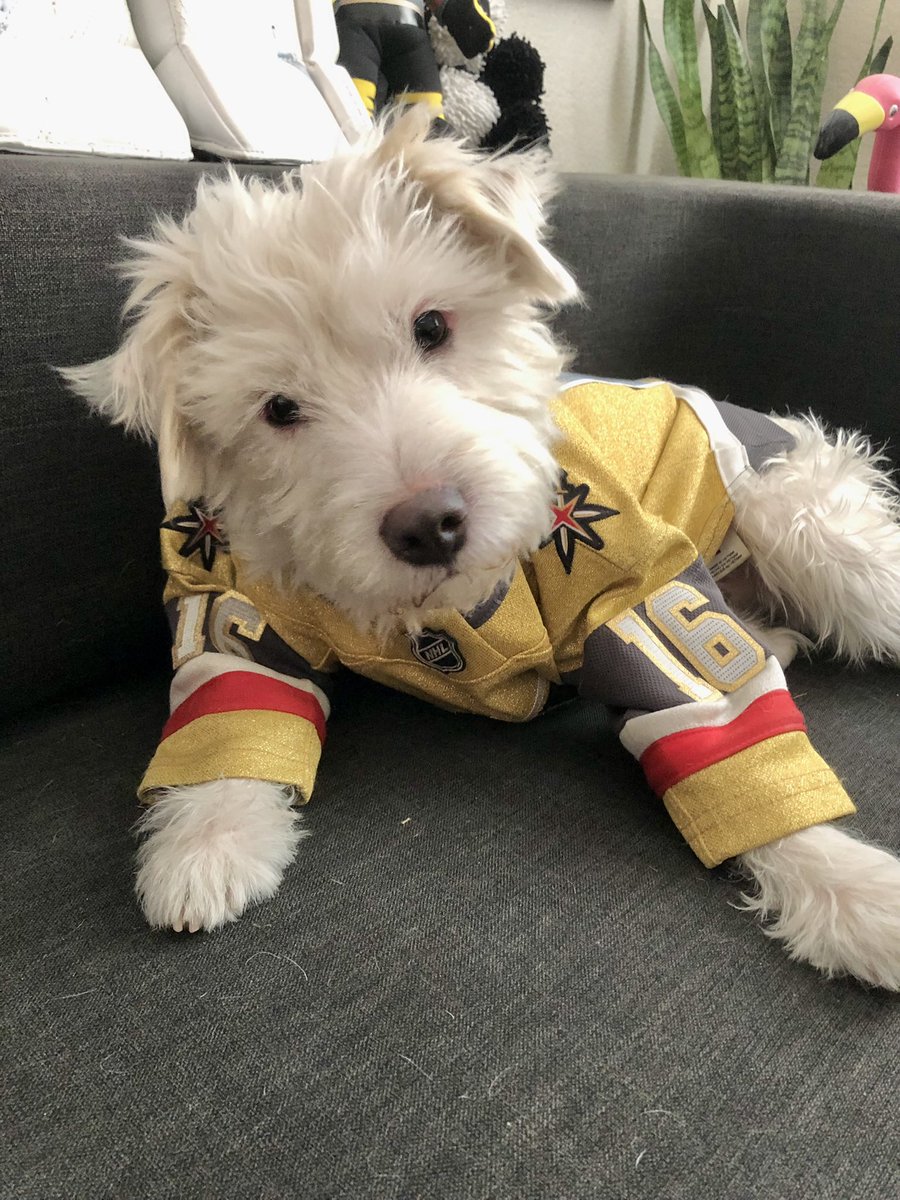 Fetch me a power play goal! 
#DALvsVGK