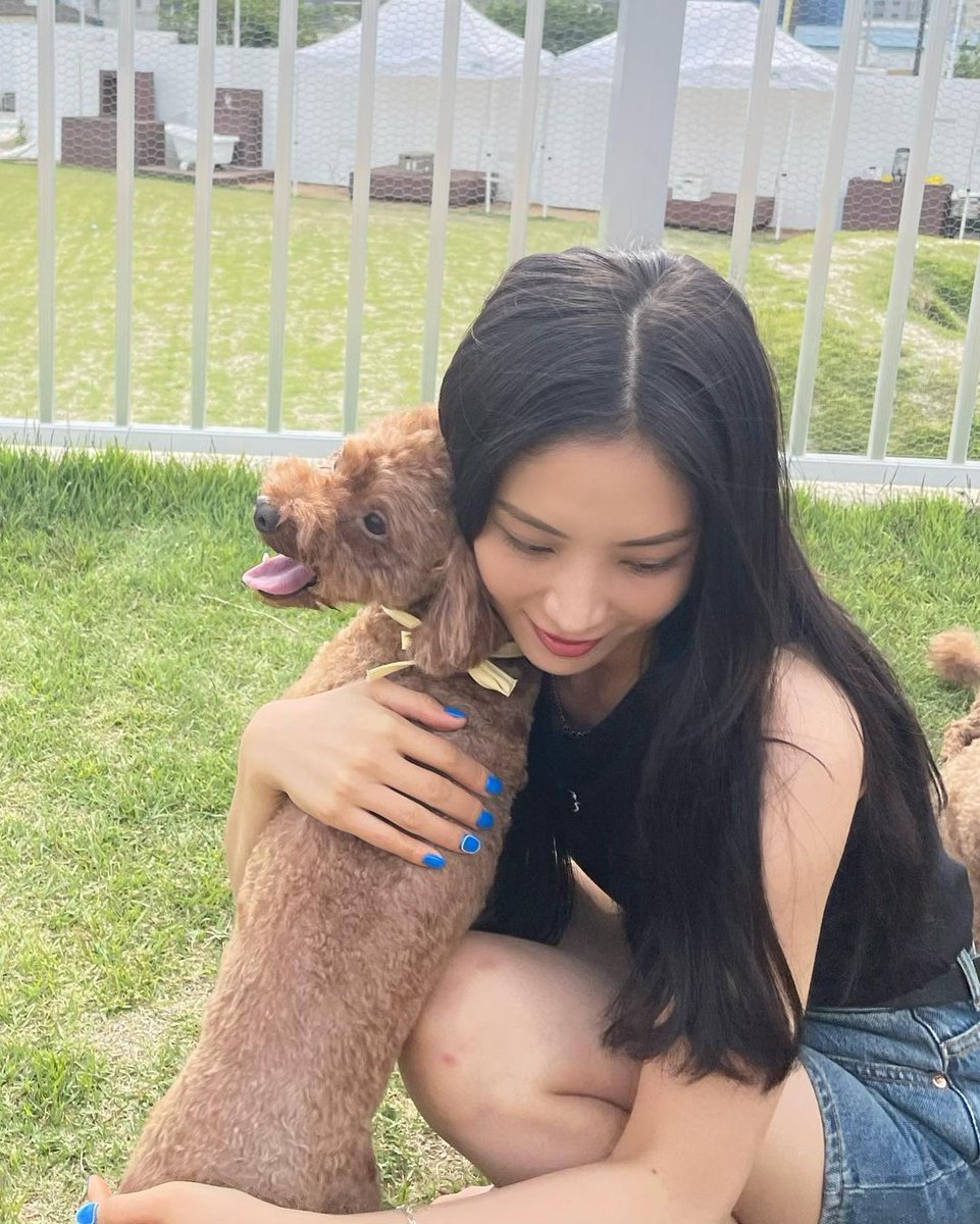 peppery witchweed percussive
It's a nice day for a dog walk