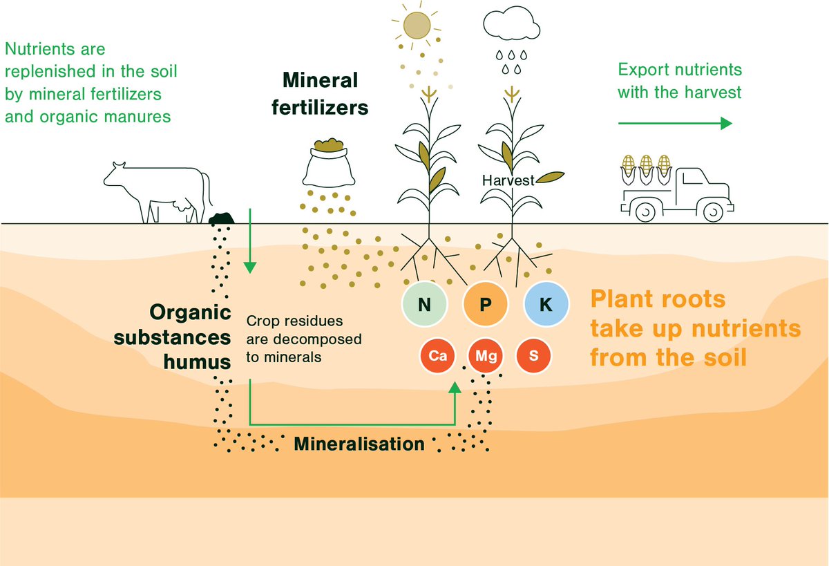 Terms in the News:

What is Balanced Fertilisation?

1. Balanced fertilization involves providing crops with the necessary nutrients in optimal proportions, considering both soil characteristics and the crop's distinct needs at various growth stages.

2. Nutrients essential for