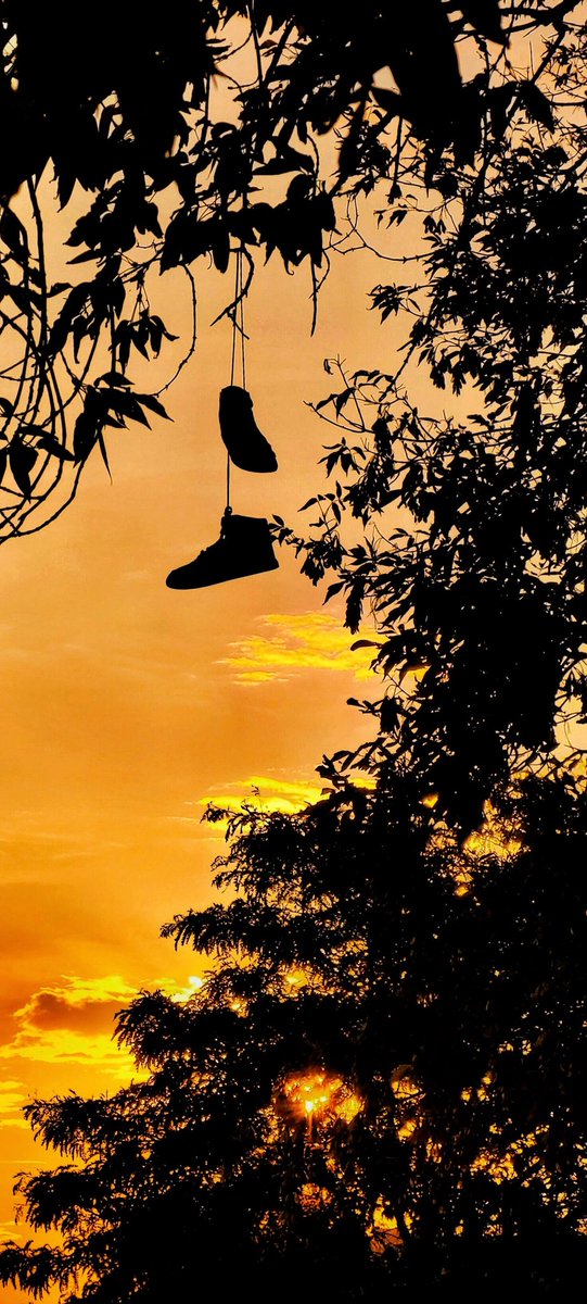 ► ❝Le 'shoes tossing', appelé ainsi, a vu le jour aux États-Unis et possède diverses significations selon les régions. En Amérique du Nord, il est associé à la délimitation des territoires de certains gangs.❞ ~ Maillard ~ ©️Maillard.