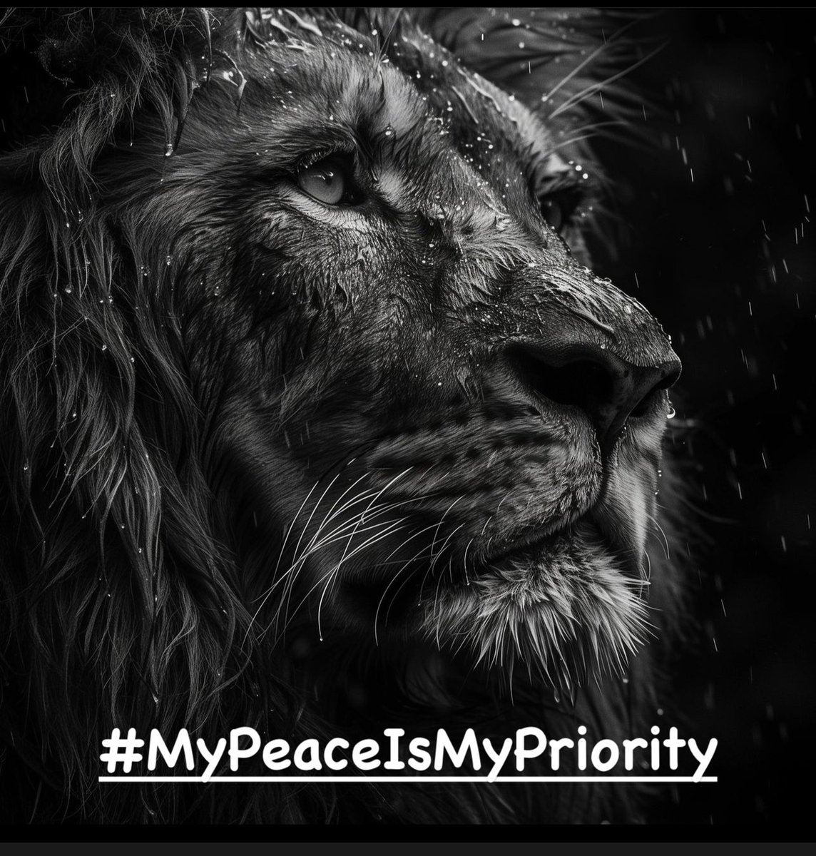 #MyPeaceIsMyPriority … 
🦋🔥💪🏾🌱 
#Peace #PeaceBeUntoYou #ProtectYourPeace #EmbraceTheJourney #OwnYourLife