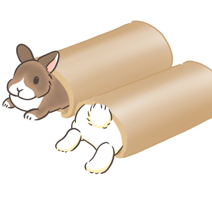 「rabbit」 illustration images(Latest)｜5pages
