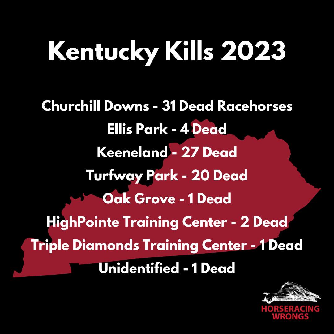 Through a FOIA request to the Kentucky Racing Commission, we have confirmed 87 kills @ Kentucky tracks & training centers last year (2023). May ever single death be a reminder not to watch, not to attend, not to bet, & not to gamble on innocent lives! #KyDerby #KYDerby2024