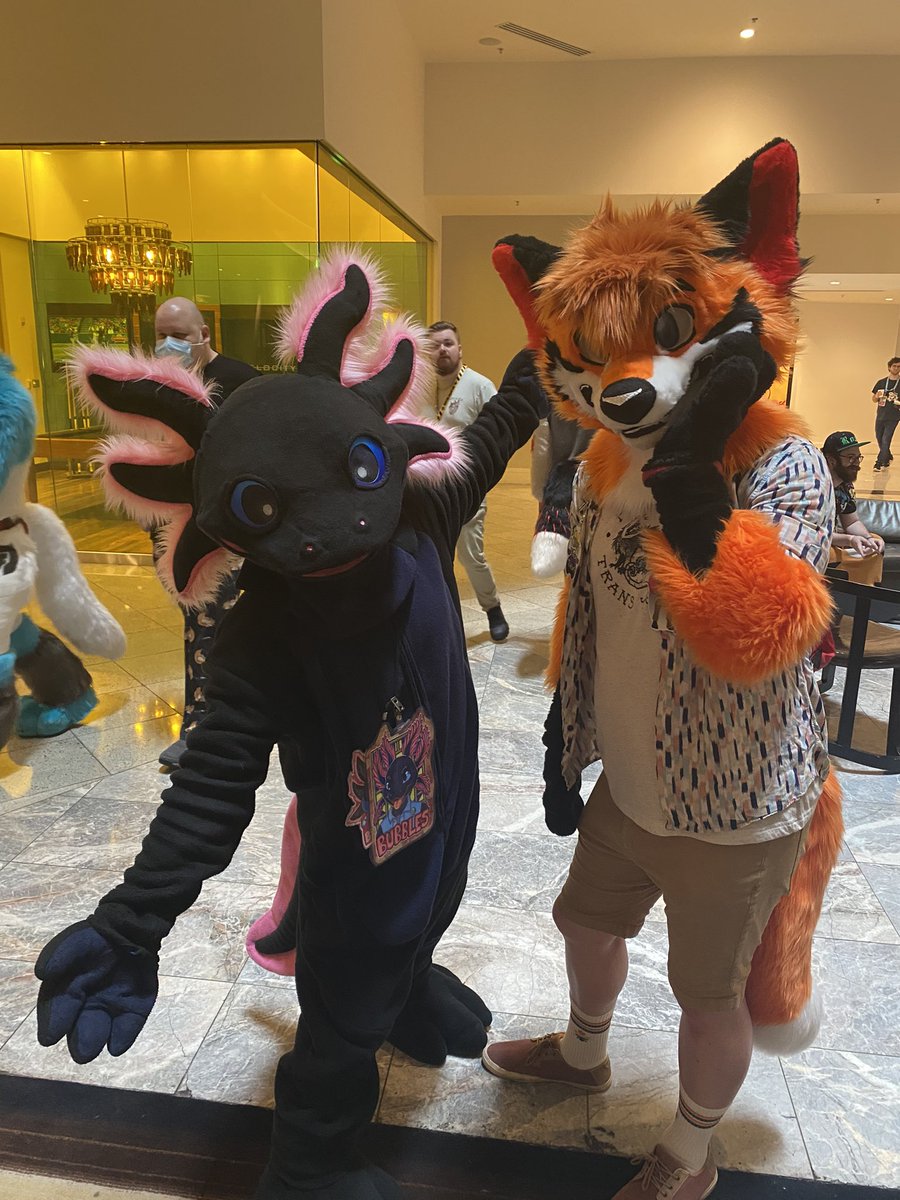 Throwback to #FWA2023 with @TechyFoxtrot. HYPE IS REAL

#FursuitFriday 
Both suits by @CityMuttFursuit