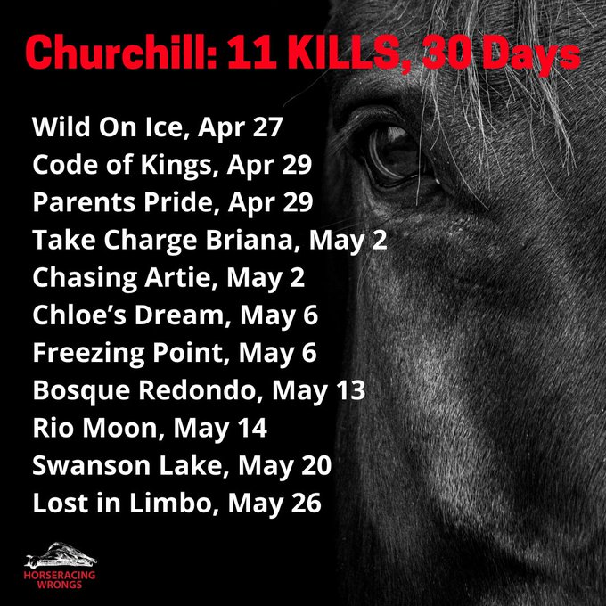 11 dead “athletes” at one of America’s most prestigious tracks in just 30 days. They can’t stop the killing because the killing is built in to the system. This is #Horseracing #EndHorseracing #KyDerby2024 is #AnimalCruelty #KyDerby is #AnimalAbuse horseracingwrongs.org/2023/05/27/los…