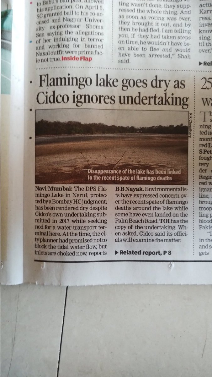 #Kharghar #NaviMumbai
@CIDCO_Ltd destroying the environment and ecology of Kharghar and Navi Mumbai cutting hills for ministers bungalows n destroying mangroves for mass housing projects @Dev_Fadnavis 
Already huge water issue in the region 
 @VoiceOfKharghar @VoiceOfPanvel