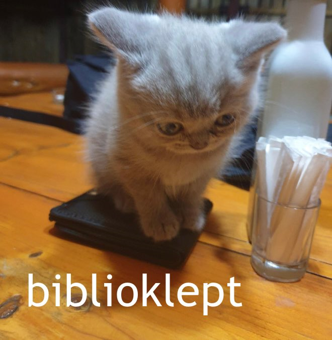 elijahmonger's tweet photo. this is me when I'm #felinegood dont u agree @quinnyguy ๐คฃ๐คฃ๐คฃ๐คฃ๐คฃ https://t.co/vCkPJRpSEI