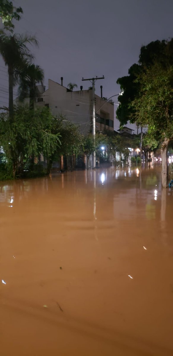 previsão de onde a água pode chegar em porto alegre, região do centro histórico, menino deus e zona norte