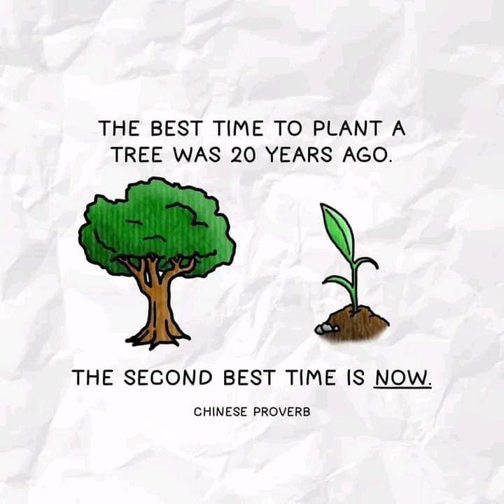 Yes, you are a little late,
But now don't wait 
#savetheplanet #planttree #savesoil