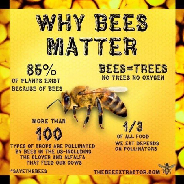 🌎 Save The Bees & Our Food Sources 🌎 🚜 Bees pollinate our crops 🐝 Population🔻80% ⚠️ Ban Bee-killing pesticides 🆘 Sign & Share the Petition 🆘 change.org/SaveTheBee #SaveTheBees🌻@BeeAsMarine #Pollinators #Pollination #SaveOurFood #Climate #BanPesticides