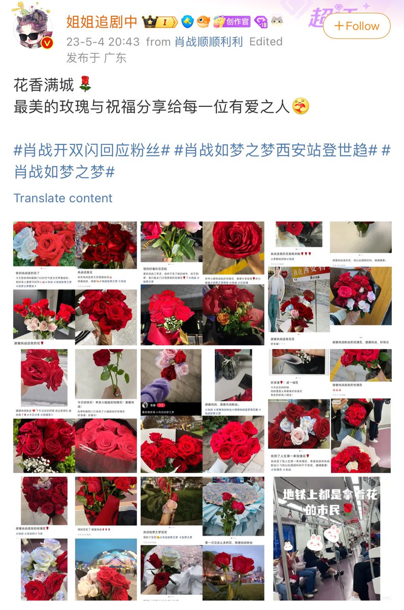 Throwback to 230504 One year ago today, as ADLAD with Xiao Zhan ended, XFX gave away passerby’s roses they ordered for Xiao Zhan and everyone had only positive things to say thanking the idol and their fans for being sweet and giving flowers Always proud ❤️🌹 #XiaoZhan