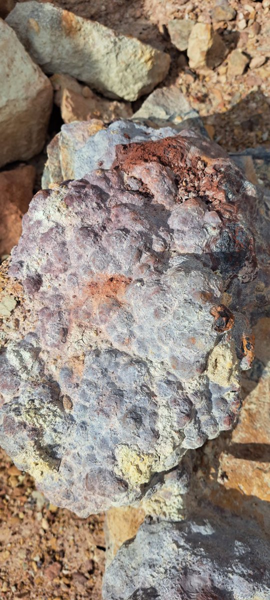 @HubGeology Hi there.  Fan of your page on YouTube.  I’m in Colorado and while roaming around Dinosaur Ridge, we saw this rock. Any ideas ?  As a lay person, I would describe it as nodules. #geology #geologytwitter