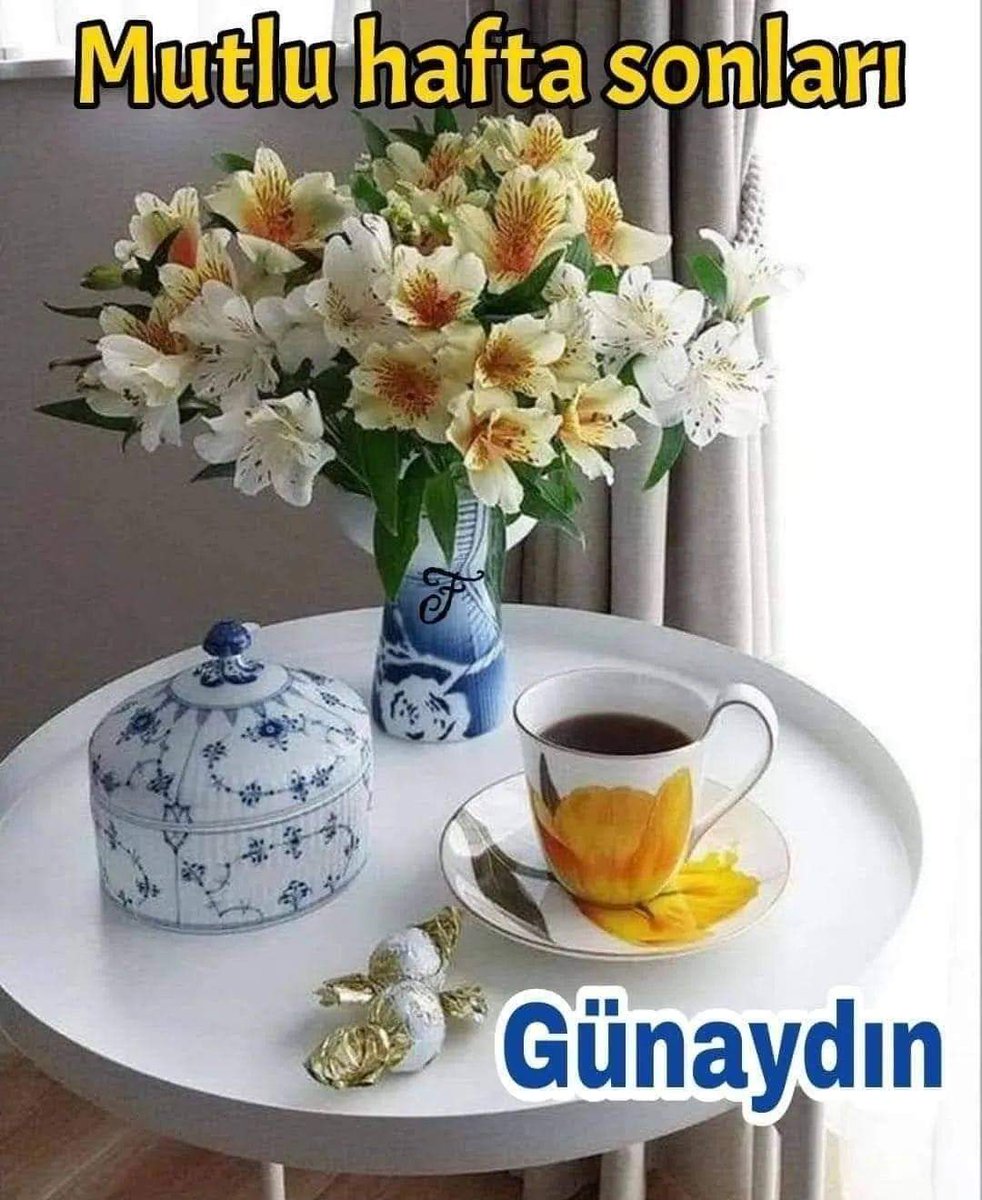 SELAMÜNALEYKÜM 
CÜMLETEN 
HAYIRLI SABAHLAR DİLEĞİYLE ...
HAFTA SONU GÖNLÜNÜZCE OLSUN 
ALLAH'A EMANET OLUN 

#cumartesi 
#Erkencitayfa 
#Gaza_Genocide 
#UyghurGenocide 
#günaydın 
#FilistinDireniyor 
#doğuTürkistan 
#GazzeyeAcilYardım 
#GazzedeKatli̇amVar 
#GazzeDirenişi