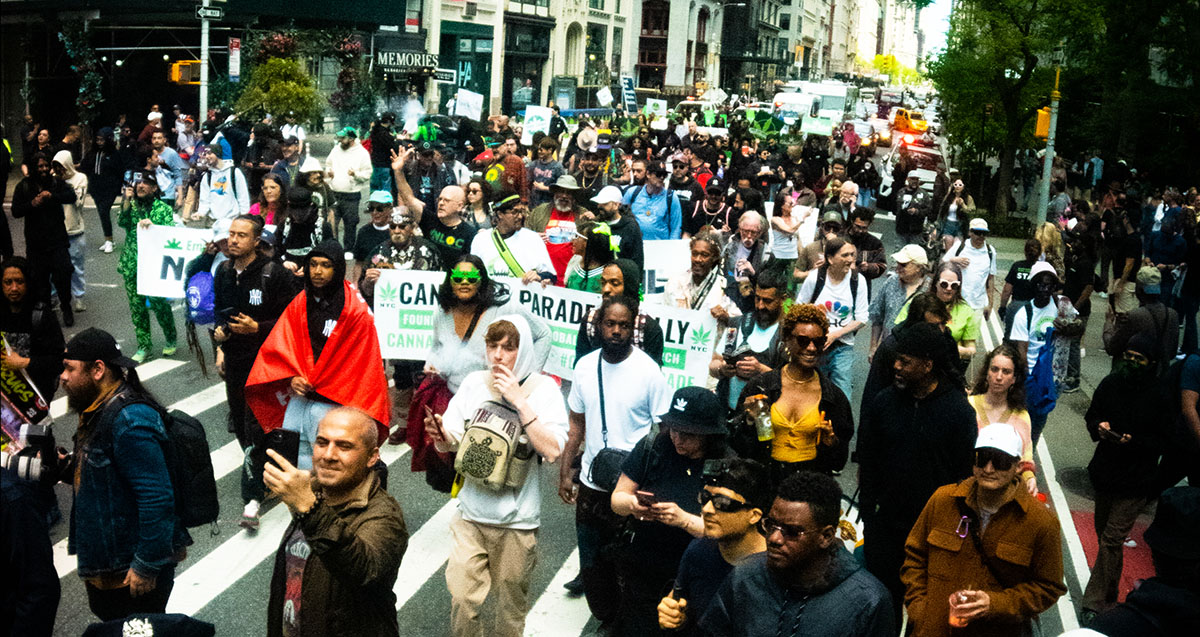 PRESS RELEASE: The 2024 NYC @CannabisParade & Rally is now a partnership between the venerable Yippie organization and the City of New York @cannabisNYC. In its 51st year, the May 4 event consists of a march, a festival and an after-party. @HoneysuckleMag  celebstoner.com/news/marijuana…