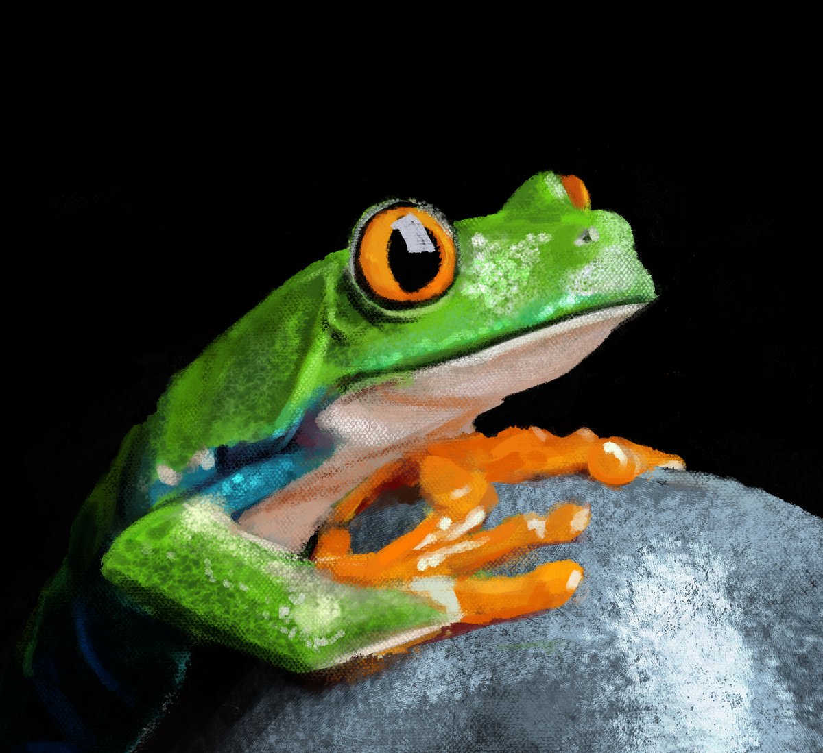 Lil' Frog study I did for class, look at this fella

#clipstudio #illustration #digitalart #notai #digitalillustration #artstudy #frog #animal #animalstudy
