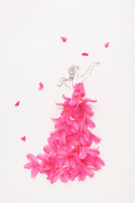 「petals」 illustration images(Latest｜RT&Fav:50)