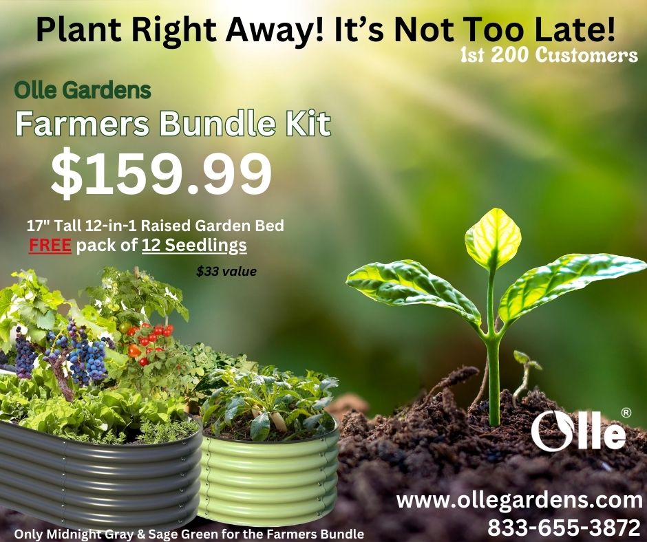 Olle Raised Garden Beds plus your FREE farmers bundle kit. Yes, we have seedlings! What better combo than Olle Raised Beds & seedlings?  ow.ly/1u4q50RwoPR

 #OlleGardenBeds #SpringGardening #RaisedGardenBeds #SeedlingsForSale #GardeningBundle