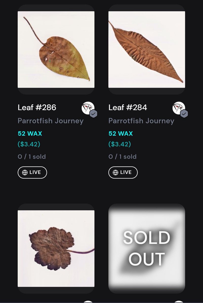 Only 3 LEAVES remain 1️⃣2️⃣3️⃣
neftyblocks.com/collection/png…

There will be NO new LEAVES relased for a while ,so make sure you have locked yours in to keep receiving all upcoming free Airdrops ! 

( There have been more than 50 Airdrops send out already to wallets holding leaves)