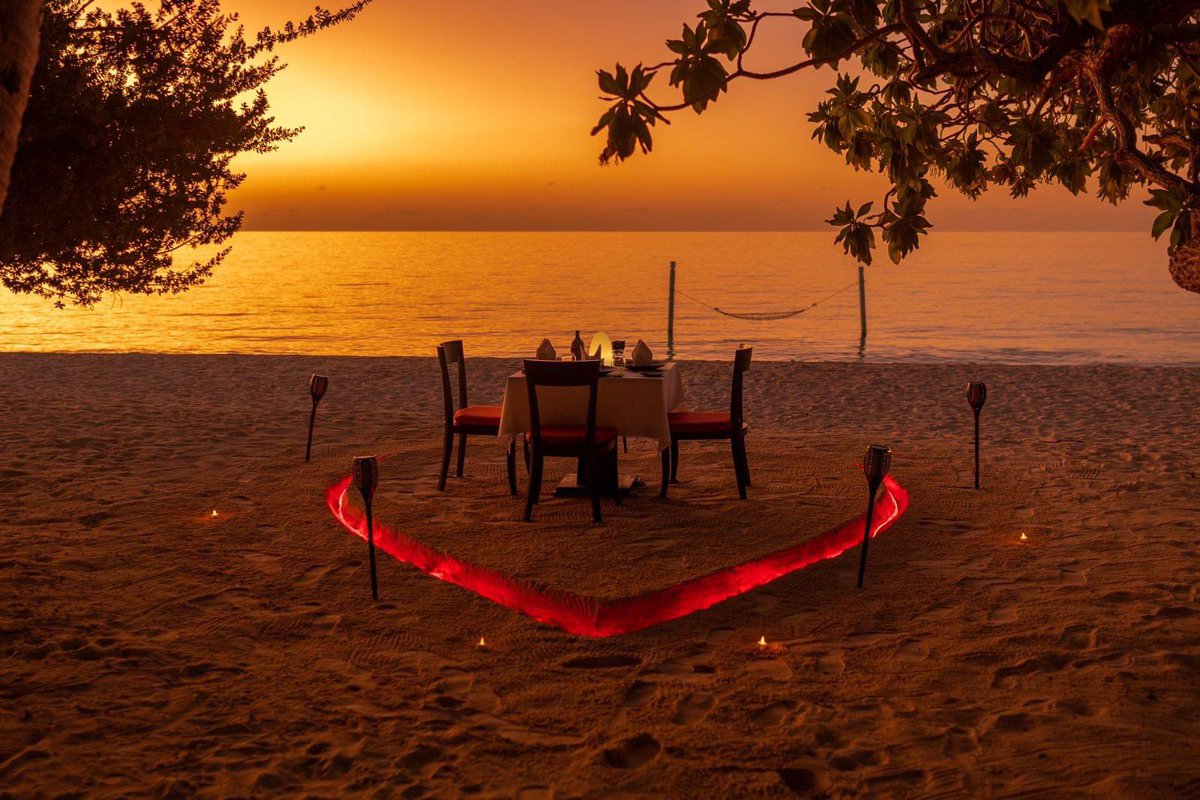 Sunset hues paint the sky, soft sand whispers beneath your feet, and a perfectly set table awaits.  This dreamy beachside dinner could be yours!

Who would you share this magical moment with?  Tag them below and let's make it happen!

#luxsouthariatoll #luxresorts #visitmaldives