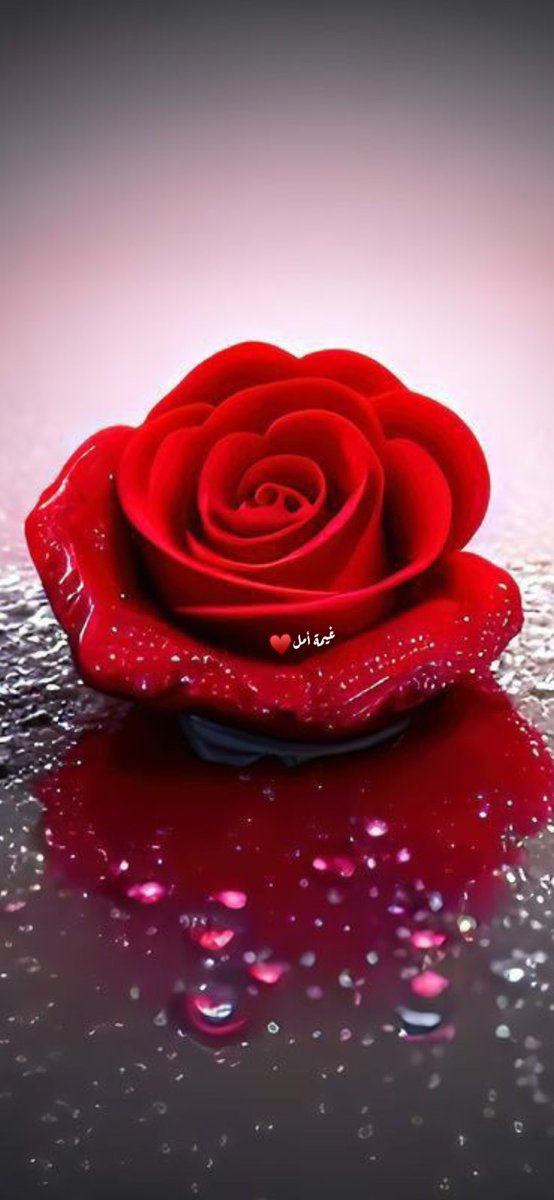 haze224's tweet photo. يامطوّل الغيبات مابي الغنايم

هو فيه اغلى من رجوعگ غنيمه؟☺️♥️

  #صباح__الخيرِ ☕️🌹 https://t.co/Mo6OiRkYiw