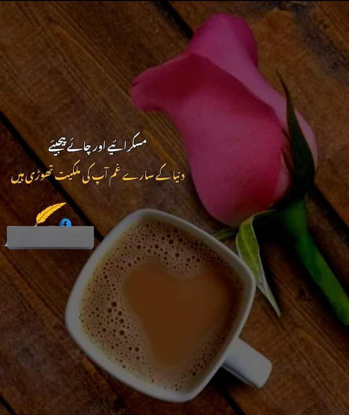 #گندم_چور_ووٹ_چور 🌹تقسیم کی اللّٰه نے جب رحمتیں🌹 🌹ہمارے حصے میں مُحَمَّدﷺ آئے🌹 ♥️صَلَّی اللهُ عَلَیْهِ وَاٰلِهٖ وَسَلَّم♥️