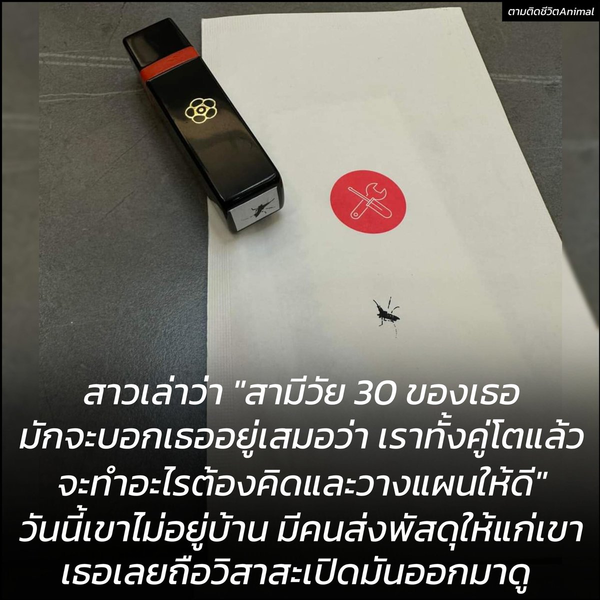 สามีวัย 30 ปี ❎ สามีวัย 30 ขวบ ✅ ปล.ตราประทับยุง สงสัยจะเอามาปั๊มแขนแฟนแล้วแกล้งตบยุงฮะ สรุปผู้ชายไม่ว่าจะยังไงก็ยังเป็นสิ่งมีชีวิตที่ติ๊งต๊อง 😂😂😂